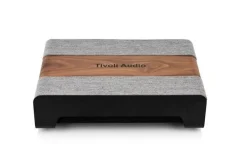 Tivoli Audio Subwoofer - Model SUB (walnuss (walnut)) -Imou Shop a104235 637763705221205631 700x700 vcenterhcenter.jpeg