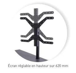 ERARD Säule - NAGA Rotation 40''-75'' (schwarz) 13 ERARD Säule - NAGA Rotation 40''-75'' (schwarz) -Imou Shop a114589 637968490629096854 700x700 vcenterhcenter.jpeg