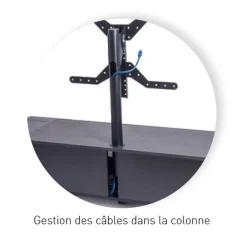 ERARD Säule - NAGA Rotation 40''-75'' (schwarz) 14 ERARD Säule - NAGA Rotation 40''-75'' (schwarz) -Imou Shop a114590 637968490630659406 700x700 vcenterhcenter.jpeg