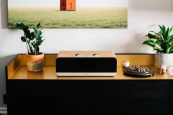 Roberts DAB+ Radio - Stream 67 (DAB+) Latest Edition (cherry) -Imou Shop a122358 638134428103217384 700x700 vcenterhcenter.jpeg