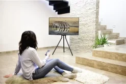 Hama TV Standfuss - Staffelei-Design", 191 Cm (75“) -Imou Shop a54897 637044168246671062 700x700 vcenterhcenter.jpeg