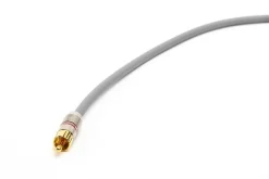 Straight Wire Chorus AG 0.5m Chinch IC (grau)